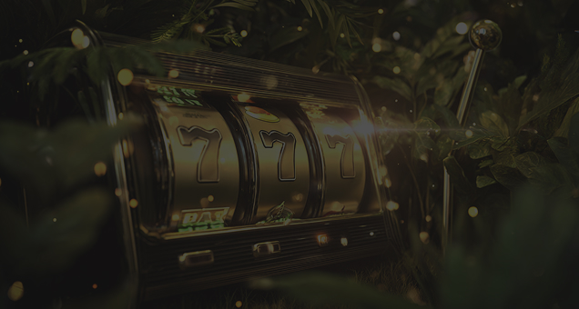 Slots Safari